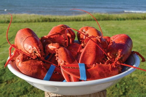 Specialty Lobster Products