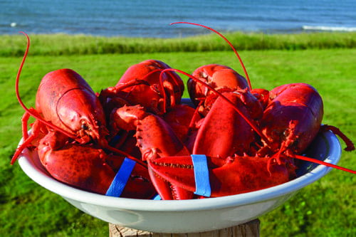 Specialty Lobster Products