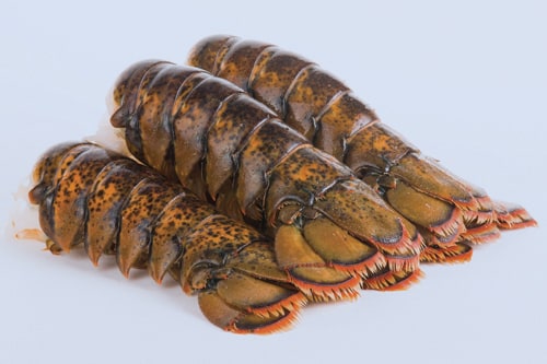 Frozen Raw Lobster Tails