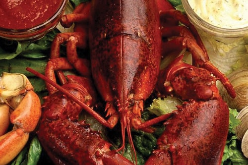 US Lobster